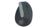 SOURIS WORKS 4906985 reconditionné