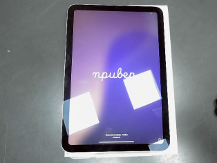 IPAD MINI A17 PRO 128GO 100% reconditionné
