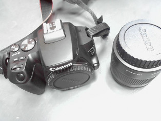 CANON EOS 250D + 18-55 + SACOCHE reconditionné