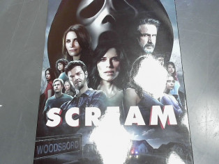 DVD SCREAM reconditionné