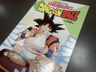 LIVRE DE RECETTE DBZ reconditionné