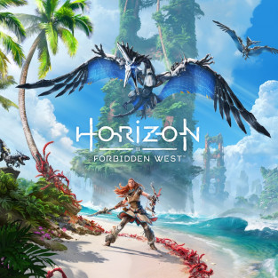 HORIZON 2 FORBIDDEN WEST PS5 reconditionné