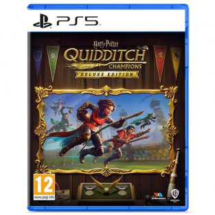 HARRY POTTER CHAMPIONS DE QUIDDITCH ... reconditionné