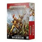 WARHAMMER SET DINITIATION GUERRIER reconditionné