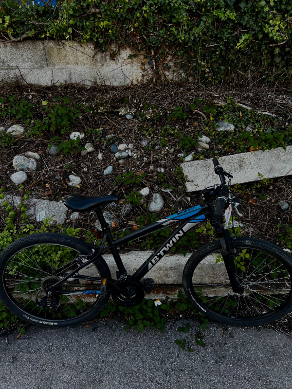 VTT ROCKRIDER 340 reconditionné