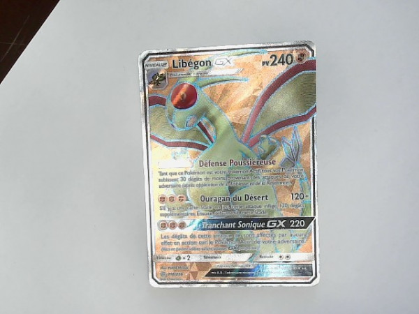 LIBEGON GX 218 reconditionné