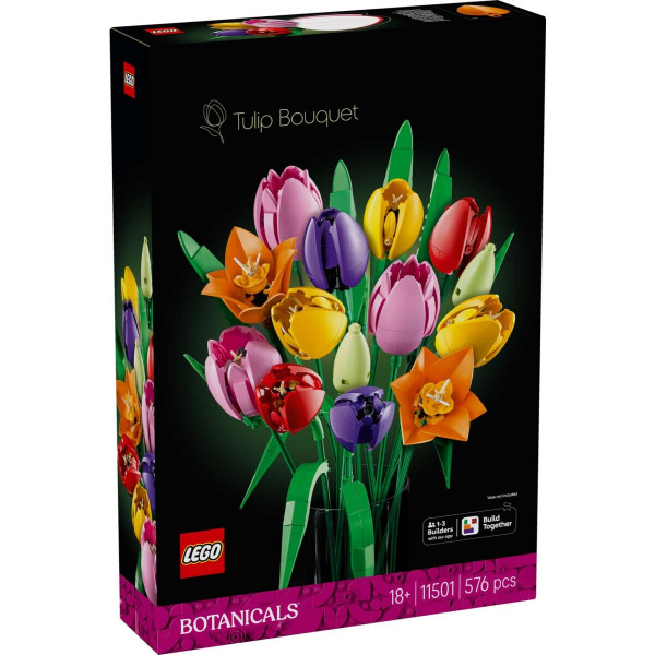 LEGO BOTANICALS 11501 reconditionné