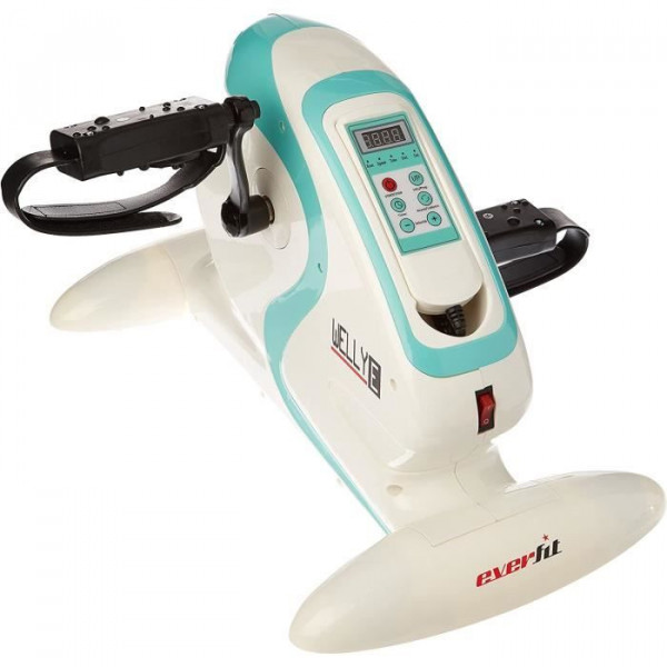 MINI VELO ELECTRIQUE WELLY E reconditionné