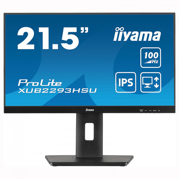 MONITEUR PC IIYAMA PROLITE XUB2293HSU reconditionné