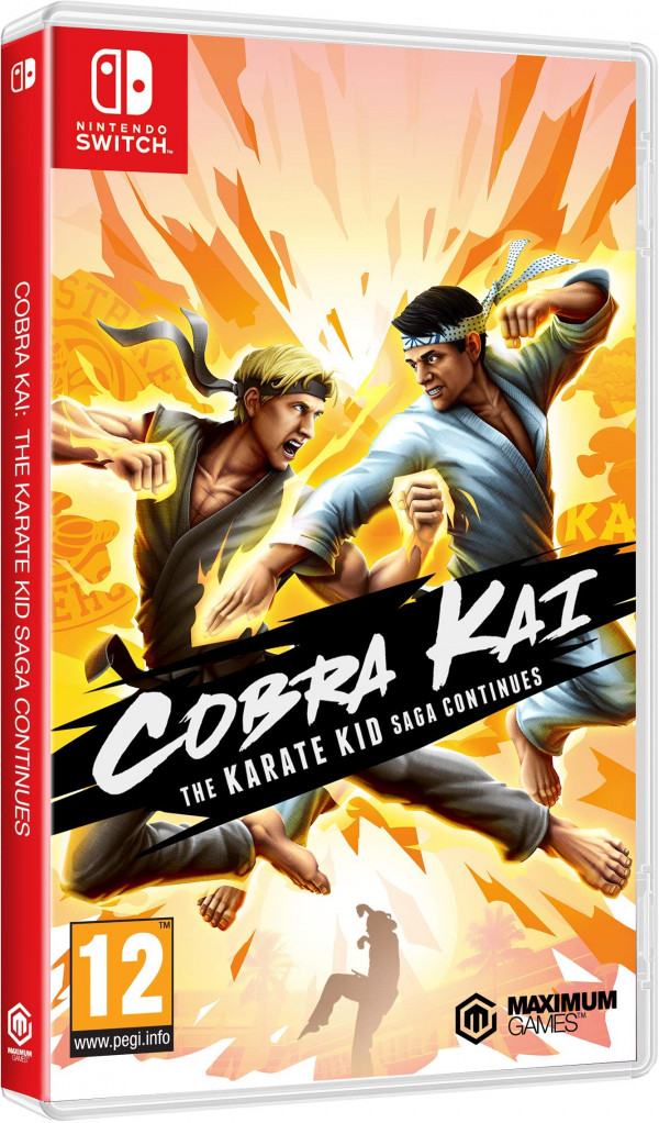 COBRA KAI THE KARATE KID SAGA CONTINUES SWITCH reconditionné