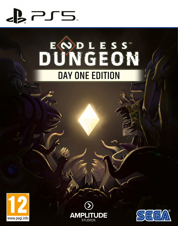 ENDLESS DUNGEON DAYONE EDITION PS5 reconditionné
