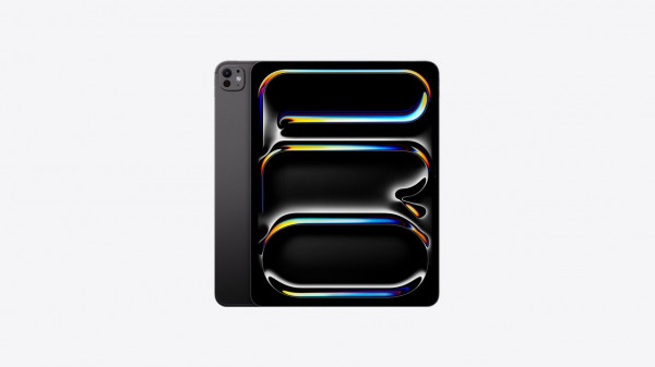 APPLE IPAD PRO M4 (A2925) NOIR SIDERAL 256 GO WIFI 13